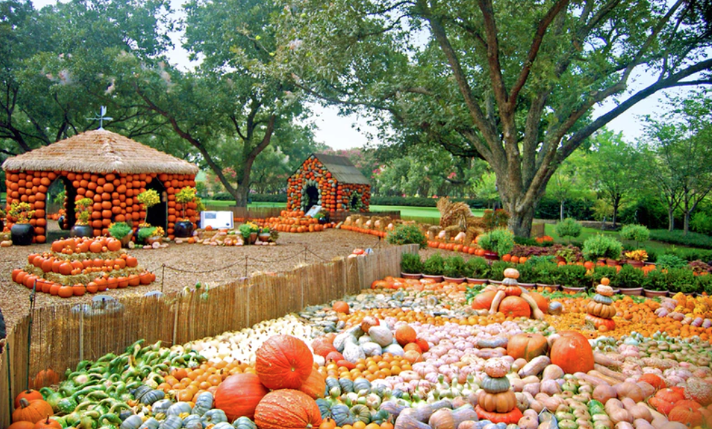 Pumpkins, Pumpkins and More Pumpkins at the Arboretum