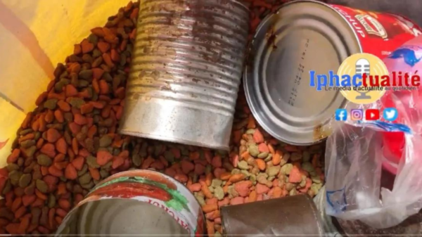 dry cat food being sold