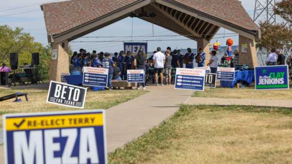 Signs for local and state candidates line