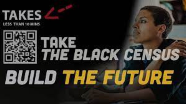 Black Census Project