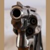 Gun