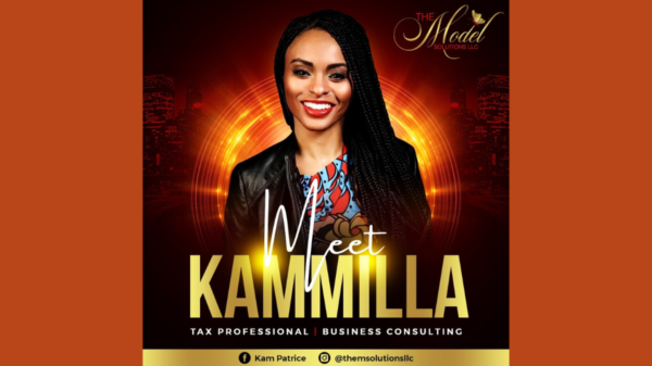 THE MODEL SOLUTIONS LLC