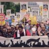 William J Barber II